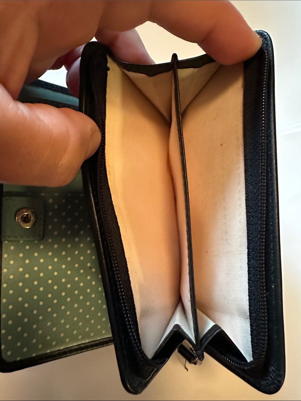 RADLEY LONDON Black Wallet with Mint Dog Motif - Picture 3 of 10